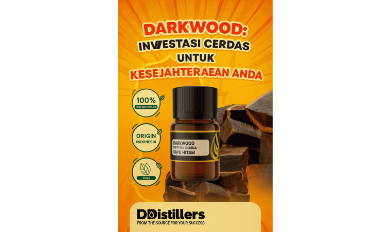 Darkwood: A Smart Investment for Your Well-being from DDistillers