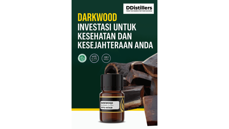Darkwood: Investasi untuk Kesehatan dan Kesejahteraan Anda Bersama DDistillers