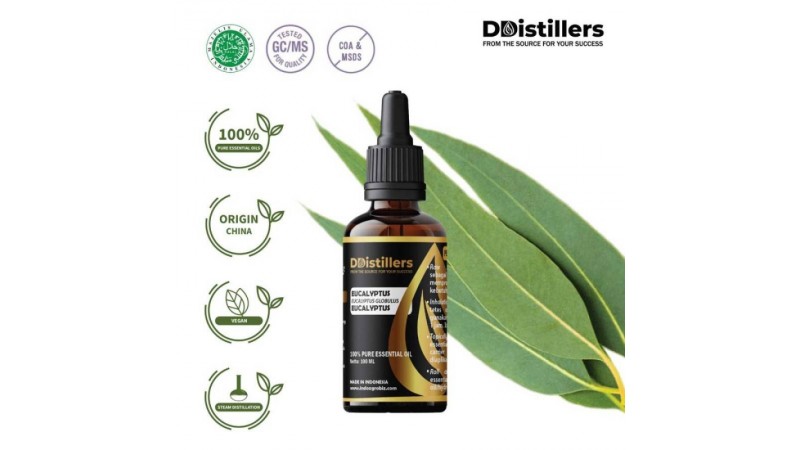 How to Process and Store Eucalyptus Oil to Maintain Its Quality