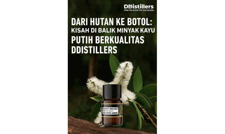 From Forest to Bottle: The Story Behind DDistillers’ Quality Eucalyptus Oil