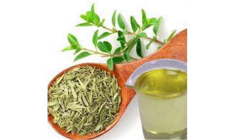 Export Opportunities for Green Tea SCFE Oil in Southeast Asian Countries