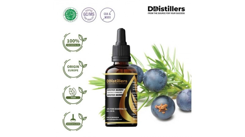 Sustainable Cultivation of Juniper Berry Plants