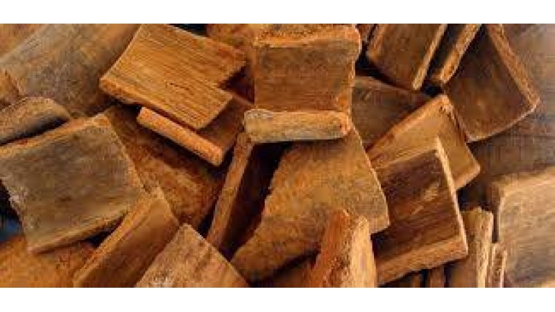 Getting to Know Indonesia’s Massoia Bark Essential Oil: History and Uses