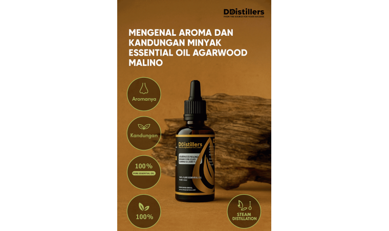 Understanding the Aroma and Composition of Malino Agarwood Essential Oil