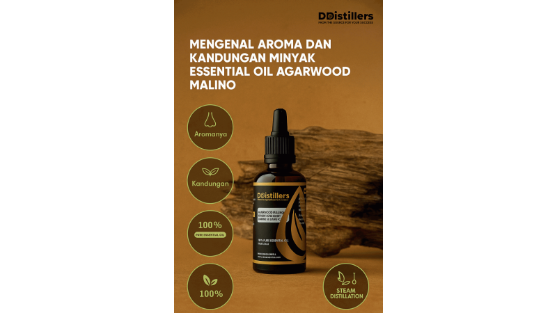 Mengenal Aroma dan Kandungan Minyak Essential Oil Agarwood Malino