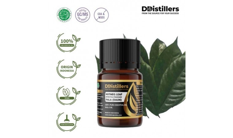 Applications of Nutmeg Leaf Oil in the Cosmetic and Aromatherapy Industries Applications of Nutmeg Leaf Oil in the Cosmetic and Aromatherapy Industries