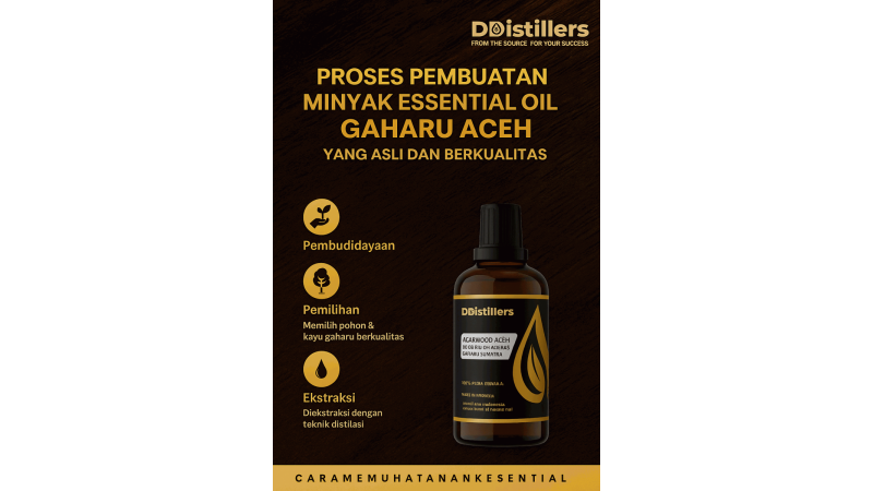 Proses Pembuatan Minyak Essential Oil Gaharu Aceh yang Asli dan Berkualitas