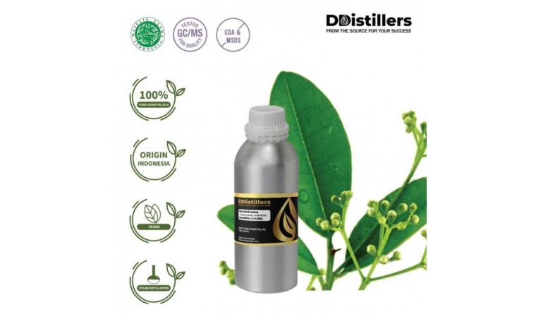 Unveiling the Wonders of 100% Pure Ravintsara Essential Oil: Exploring the Benefits of Cinnamomum Camphora L for Holistic Wellbeing