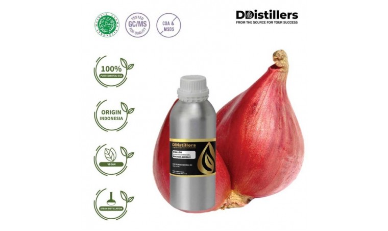 Shallot Essential Oil in Traditional Medicine: Facts and Myths