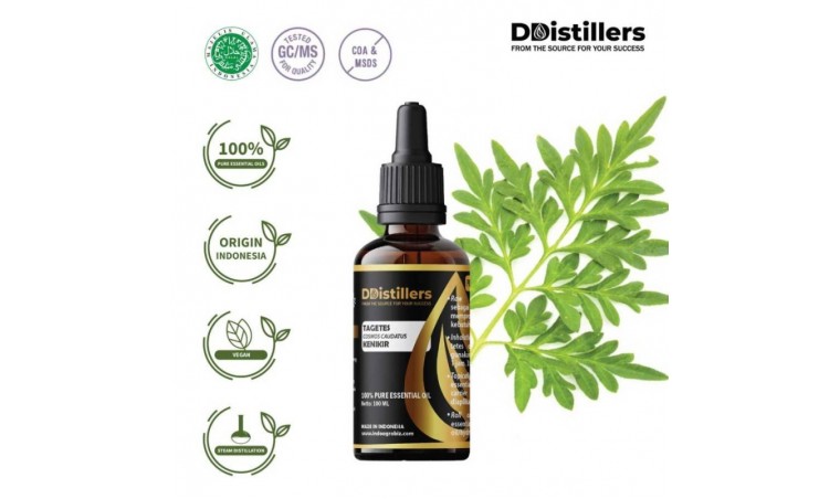 The Role of Tagetes Essential Oil in Indonesia’s Perfume and Cosmetic Industry