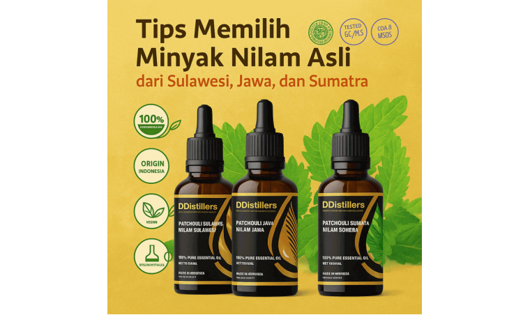 Tips for Choosing Authentic Patchouli Oil from Sulawesi, Java, and Sumatra Tips for Choosing Authentic Patchouli Oil from Sulawesi, Java, and Sumatra