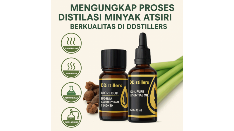 Unveiling the Quality Essential Oil Distillation Process at DDistillers