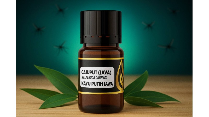 Seberapa Efektif Minyak Kayu Putih sebagai Anti Nyamuk Alami?