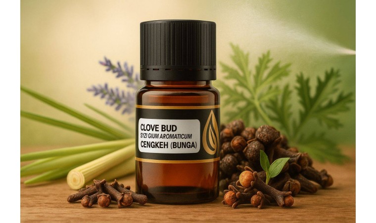 Why Premium Insect-Repellent Made from 100% Pure Clove Bud Essential Oil Is Now a Global Trend (and the Opportunity in Indonesia)