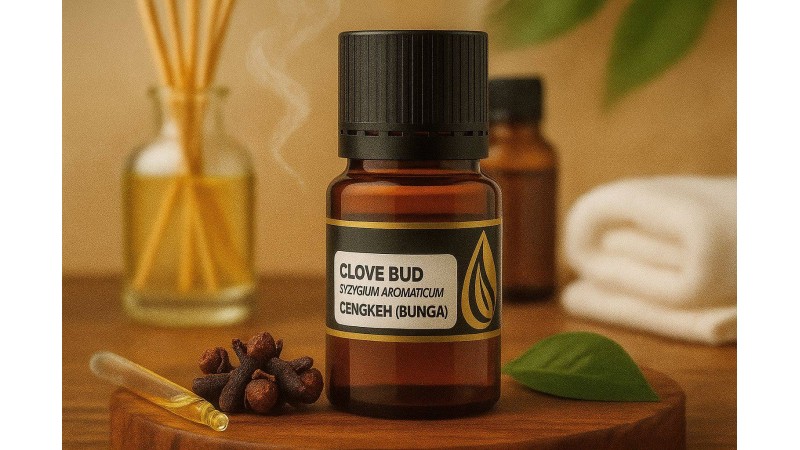 Cara Memilih & Menggunakan Bunga Cengkeh (Syzygium aromaticum) Essential Oil 100% Pure — Panduan Lengkap untuk Pemula