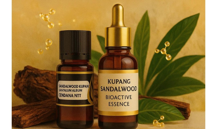 Bioactive Compounds in Kupang Sandalwood: A New Frontier in Clean Beauty