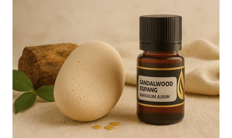 Sandalwood Kupang Ceramic Stone Diffuser: A Non-Electric Innovation in Natural Scenting