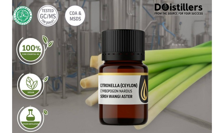 DDistillers: Leading Producer of High-Quality Citronella Oil in Indonesia