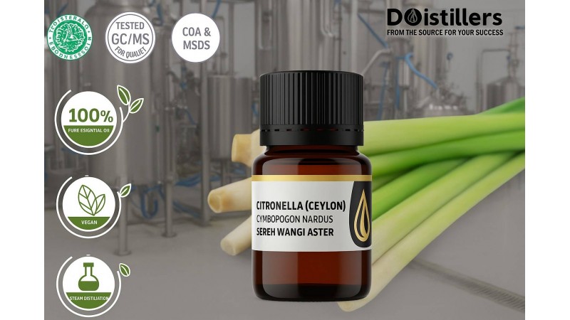 Citronella Ceylon DDistillers: Rahasia Penyulingan Sereh Wangi Berkualitas Dunia dari PT Syailendra Bumi Investama