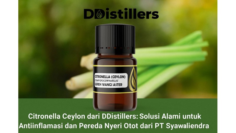 Citronella Ceylon dari DDistillers: Solusi Alami untuk Antiinflamasi dan Pereda Nyeri Otot
