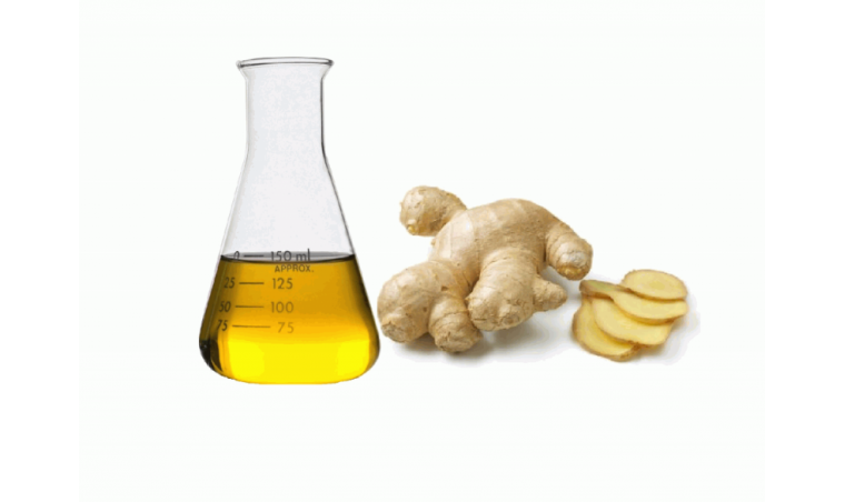 Processing and Storing SCFE Ginger Oil to Maintain Quality
