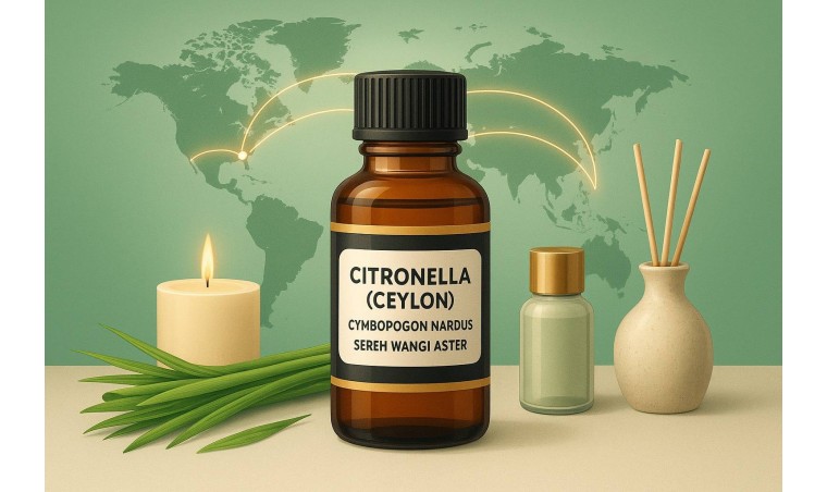 Global Trends in Essential Oils: How Indonesian Lemongrass Oil Competes in the World Market Global Trends in Essential Oils: How Indonesian Lemongrass Oil Competes in the World Market