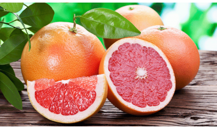 The Potential and Development of the Grapefruit Oil Industry in Indonesia