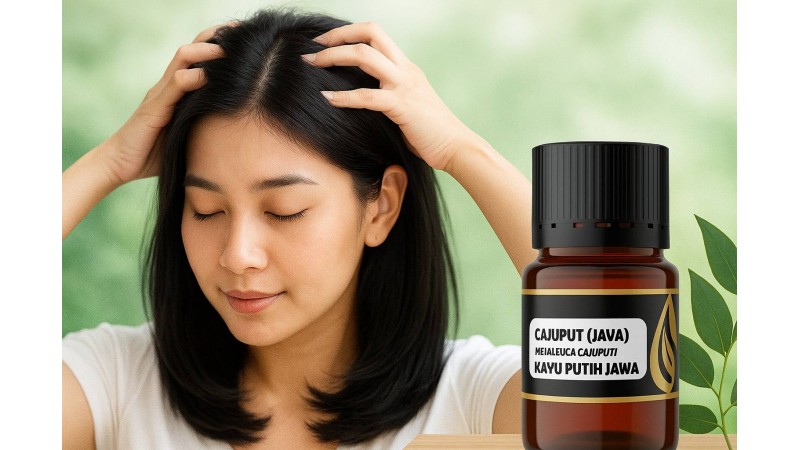 Manfaat Minyak Kayu Putih untuk Rambut: Atasi Ketombe dan Rambut Rontok