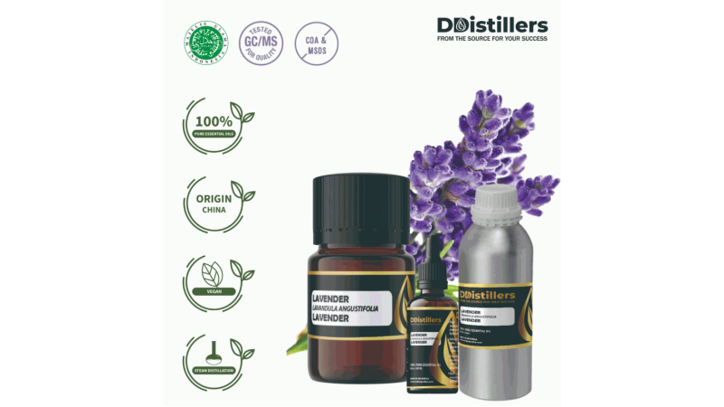 Lavender from DDistillers: A Natural Solution to Reduce Stress and Improve Sleep Quality