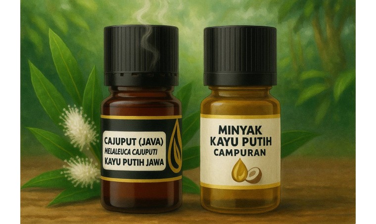 Pure Cajuput Oil vs Blended Cajuput Oil: What’s the Difference?