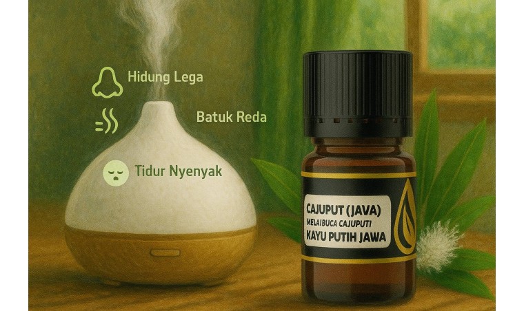 The Benefits of Cajuput Oil for Respiratory Health