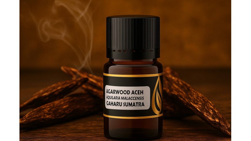 Why DDistillers Agarwood Oil Is a Worthwhile Aromatherapy Investment