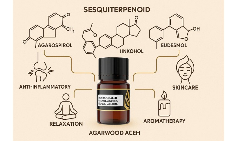 Agarwood Essential Oil: Active Compounds and Their Benefits for Health, Beauty, and Aromatherapy Agarwood Essential Oil: Active Compounds and Their Benefits for Health, Beauty, and Aromatherapy