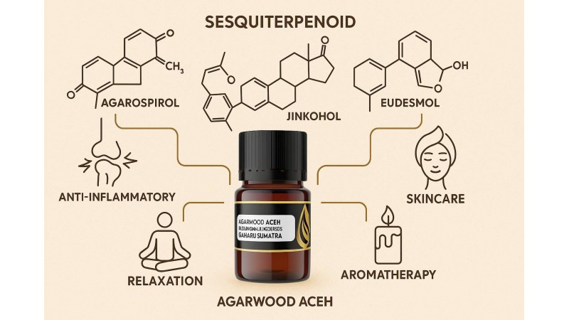 Agarwood Essential Oil: Active Compounds and Their Benefits for Health, Beauty, and Aromatherapy