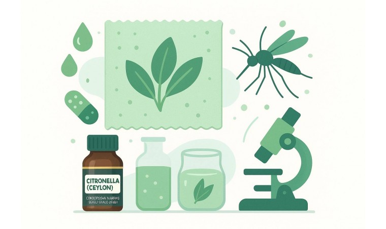 Innovation of Citronella Oil in the Textile Industry: Eco-Friendly Mosquito-Repellent Fabrics