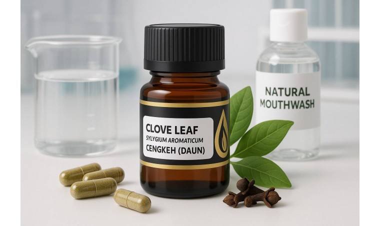 Clove Leaf Oil in the Pharmaceutical Industry: From Antiseptic to Pain Relief