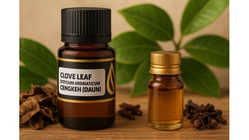 Membedah Perbedaan Clove Leaf Oil vs Clove Bud Oil: Mana yang Lebih Tepat untuk Bisnis Anda?