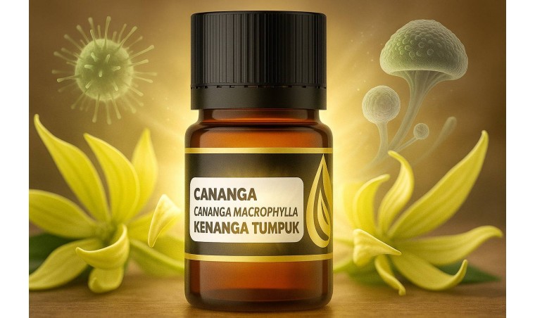 Antimicrobial Potential of DDistillers Cananga Essential Oil: Natural Support for Skin Health Antimicrobial Potential of DDistillers Cananga Essential Oil: Natural Support for Skin Health