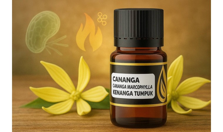 The Anti-Inflammatory Potential of Ylang Ylang Oil: Insights from DDistillers The Anti-Inflammatory Potential of Ylang Ylang Oil: Insights from DDistillers