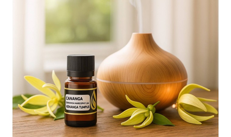 DDistillers Cananga Essential Oil: Natural Aromatherapy to Calm the Mind, Lower Blood Pressure, and Relieve Stress DDistillers Cananga Essential Oil: Natural Aromatherapy to Calm the Mind, Lower Blood Pressure, and Relieve Stress