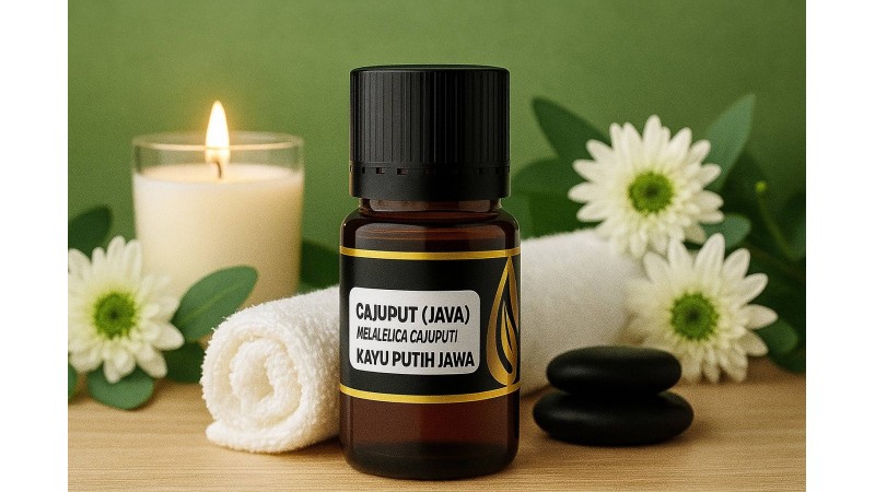 Minyak Kayu Putih sebagai Minyak Pijat: Khasiat Relaksasi dan Redakan Pegal Linu