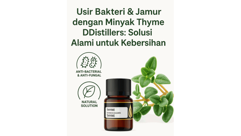 Eliminate Bacteria & Fungi with DDistillers Thyme Oil: A Natural Solution for Cleanliness