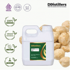 Candlenut / Kemiri Carrier Oil Pure 100% | Aleurites mollucannus