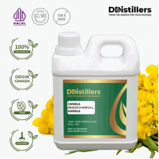 Canola / Kanola Carrier Oil Pure 100% | Brassica napus L.