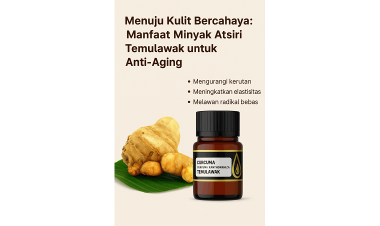 Towards Radiant Skin: The Anti-Aging Benefits of Temulawak Essential Oil Towards Radiant Skin: The Anti-Aging Benefits of Temulawak Essential Oil