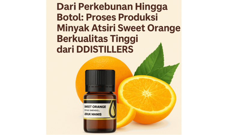 From Orchard to Bottle: The High-Quality Production Process of Sweet Orange Essential Oil by DDistillers