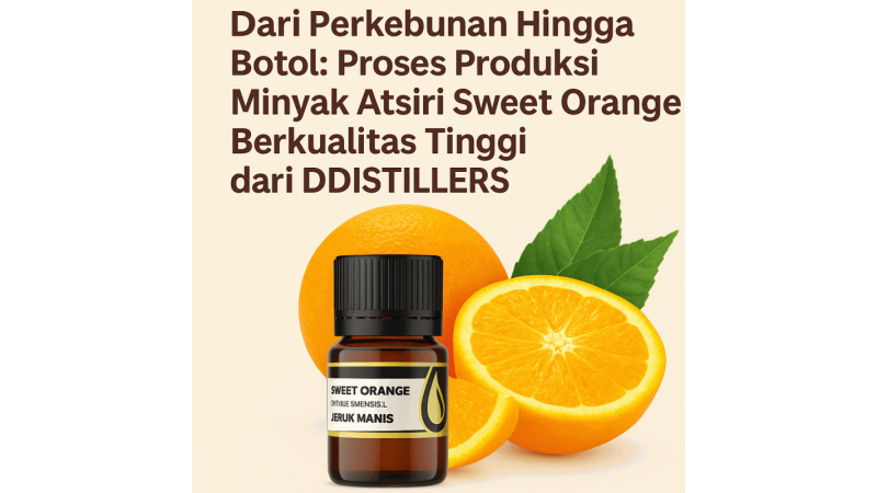 From Orchard to Bottle: The High-Quality Production Process of Sweet Orange Essential Oil by DDistillers