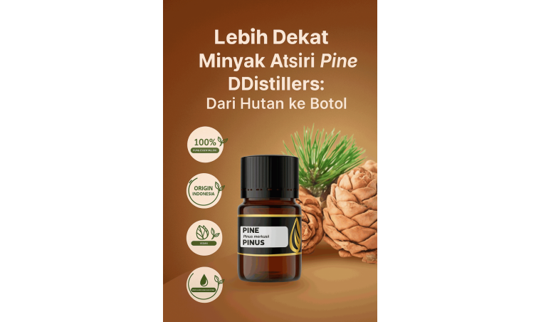 Getting to Know DDistillers Pine Essential Oil: From Forest to Bottle