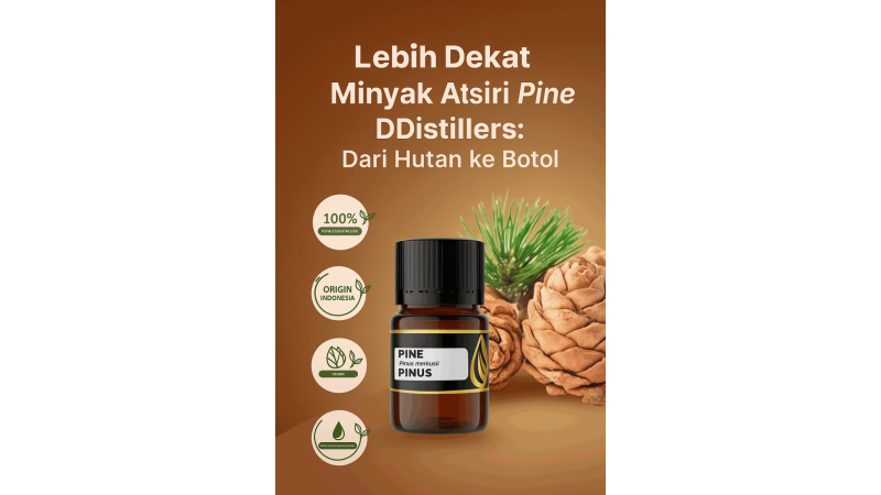 Getting to Know DDistillers Pine Essential Oil: From Forest to Bottle