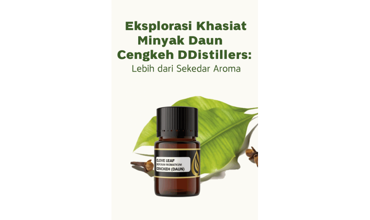 Exploring the Benefits of DDistillers’ Clove Leaf Oil: More Than Just a Fragrance Exploring the Benefits of DDistillers’ Clove Leaf Oil: More Than Just a Fragrance